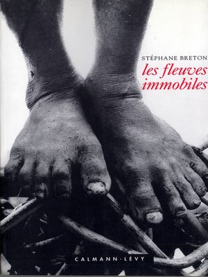 cover image of Les Fleuves immobiles